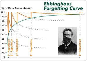 Forgetting curve