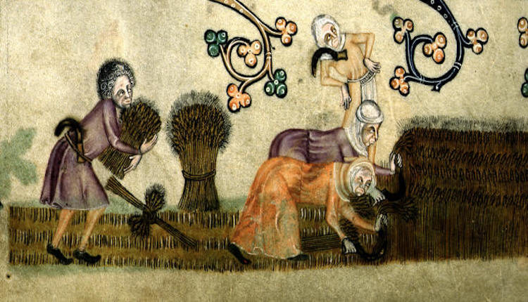Peasant life