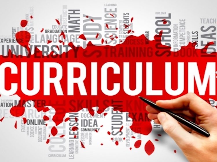 Curriculum