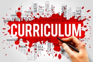 KS3 curriculum